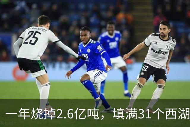 一年烧掉2.6亿吨，填满31个西湖！中国的垃圾，不够烧了？